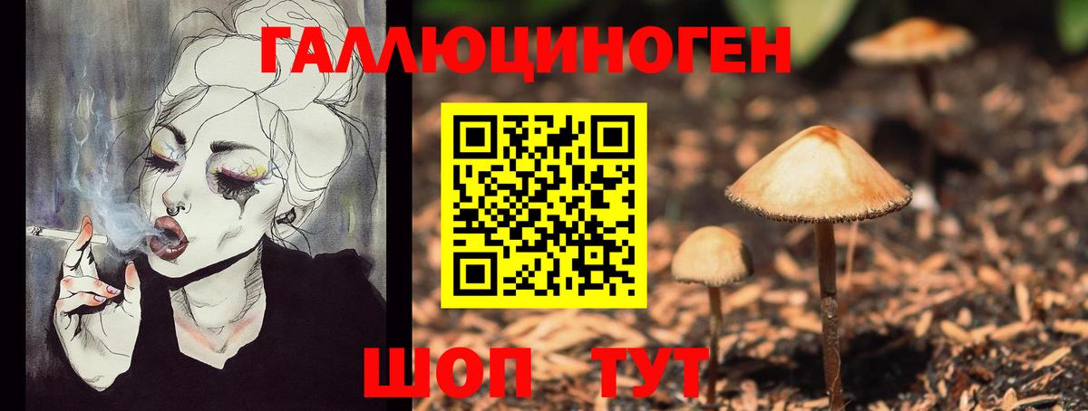 Губкин  Галлюциногенные грибы MAGIC MUSHROOMS  Вход с VPN  Галлюциногенные грибы Psilocybine cubensis 